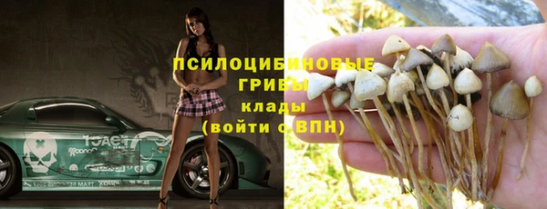 ALPHA PVP Аркадак
