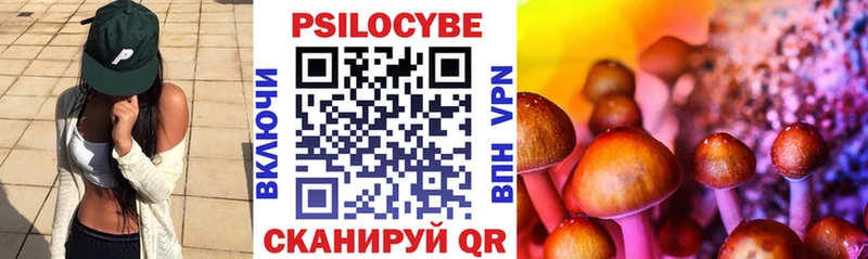 Галлюциногенные грибы Psilocybine cubensis  наркота  Заозёрск 